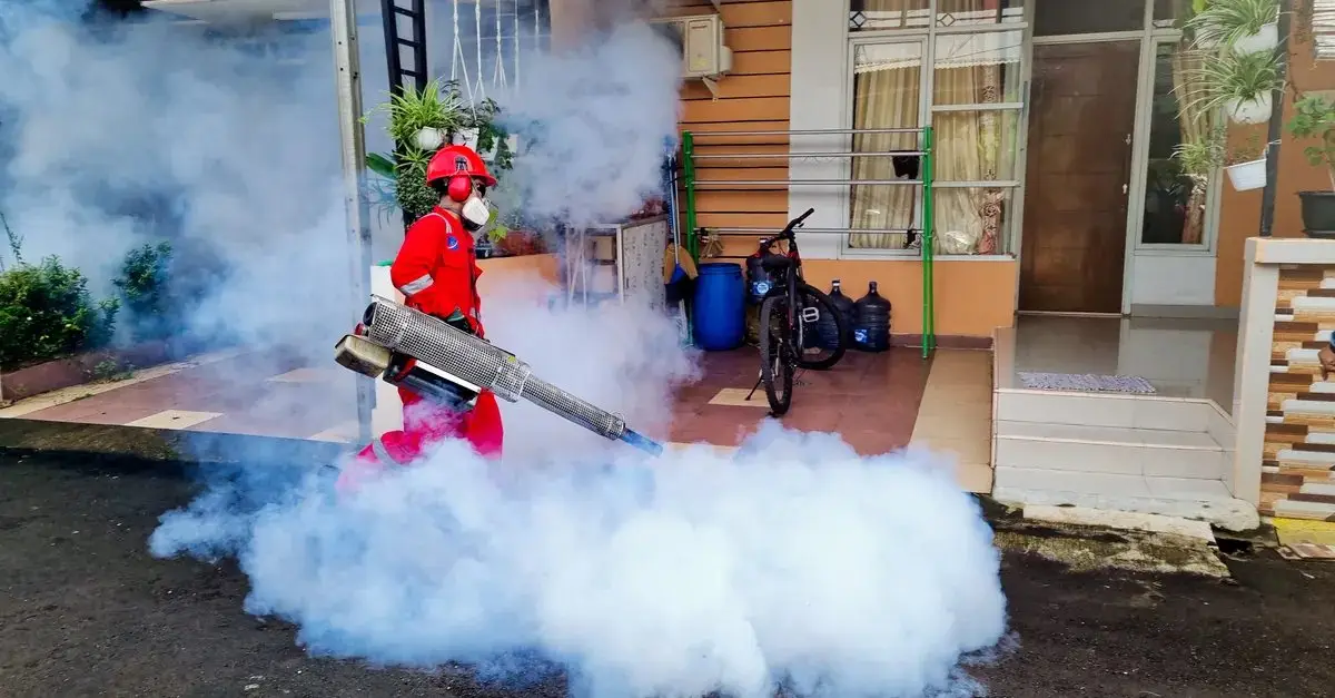Does NYC Spray for Mosquitoes?