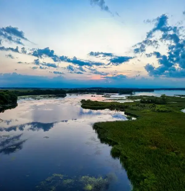 What Are the 10 Worst States for Mosquitoes?